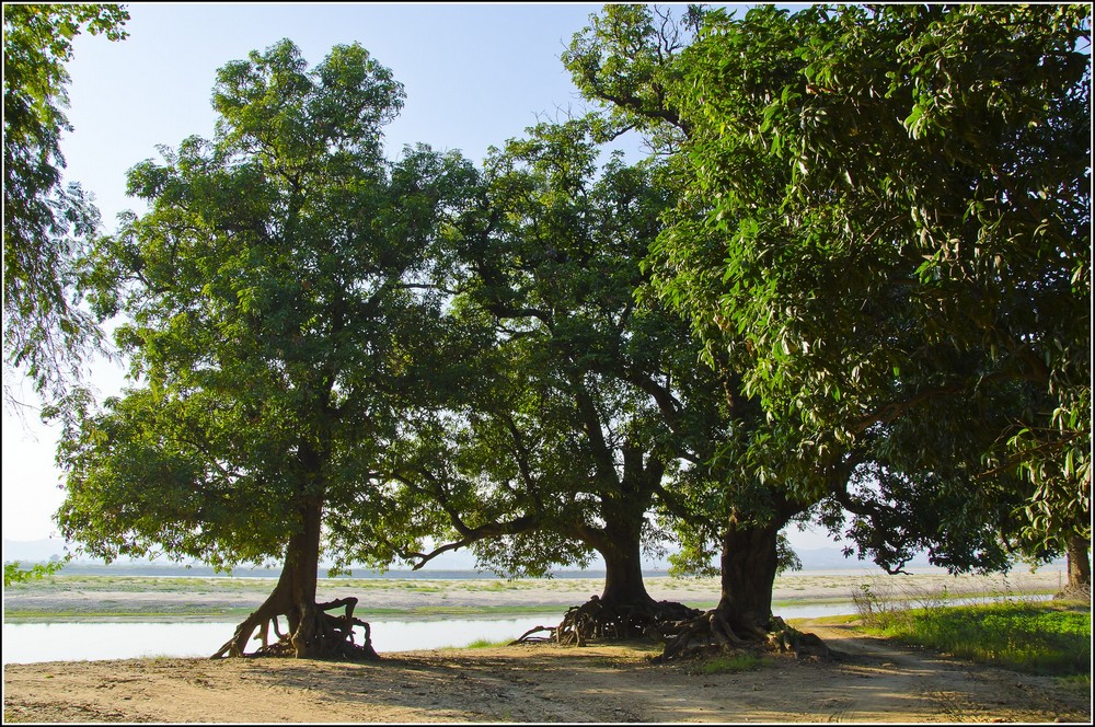 One day travel to Bagan