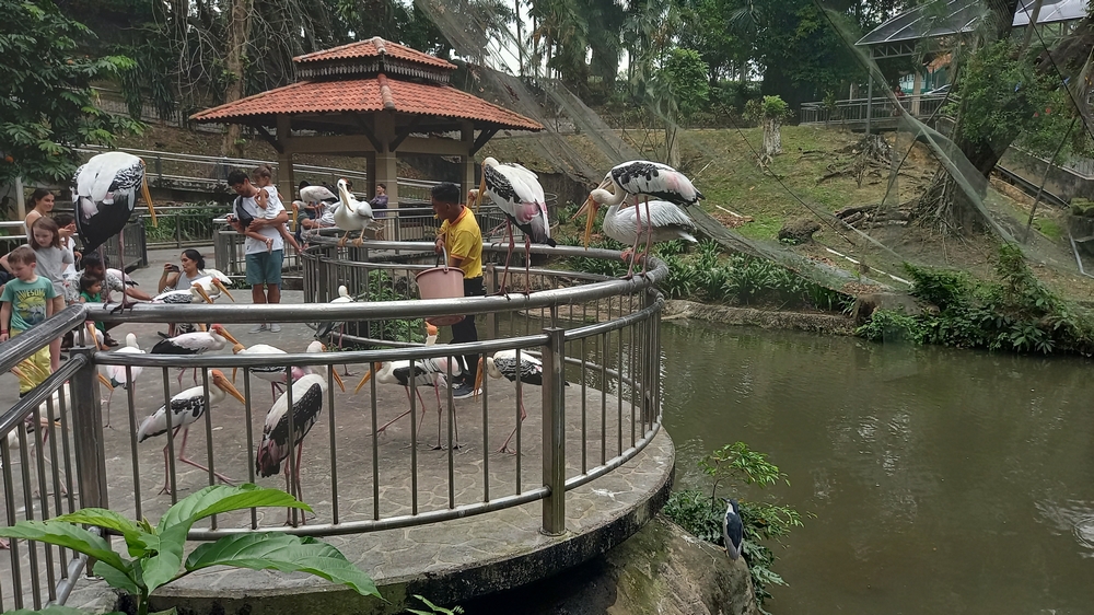 Bird Park Kuala Lumpur