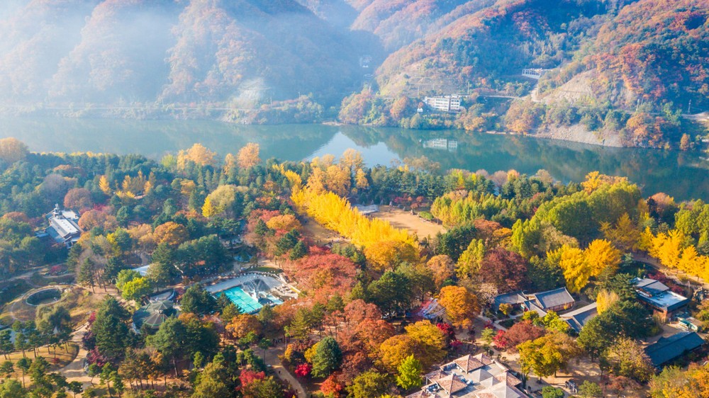 Autumn dawn on Nami Island, South Korea